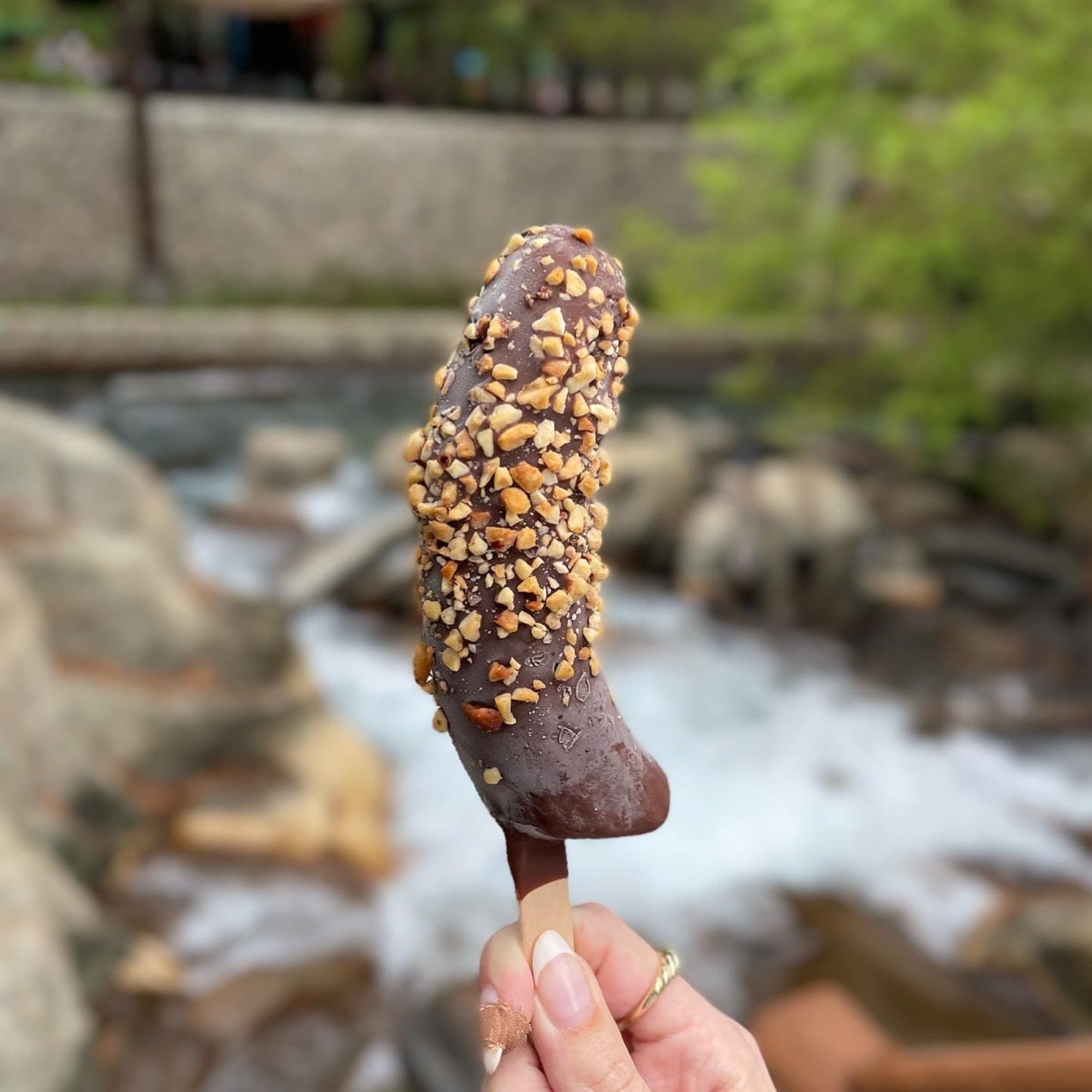 VegNews.VeganDisneylandSnacks.@chowdownvegan