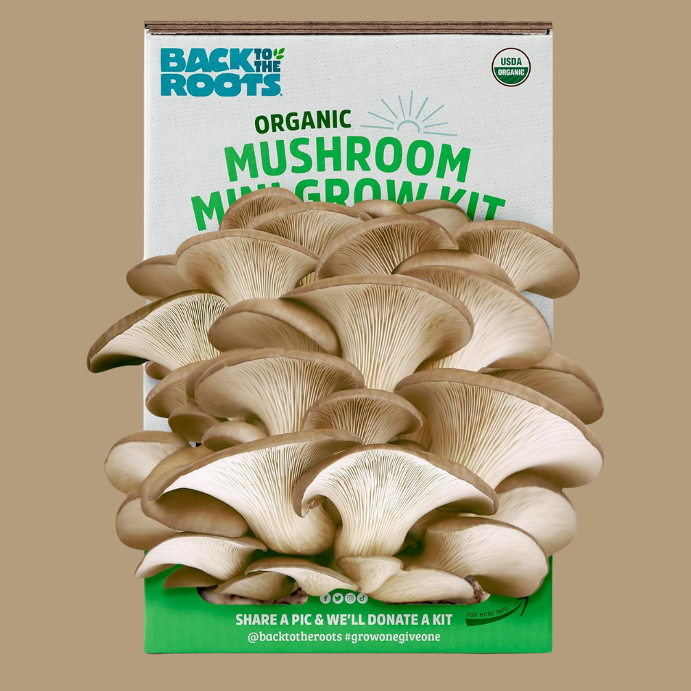 Back to the Roots Organic Mini Mushroom Grow Kit