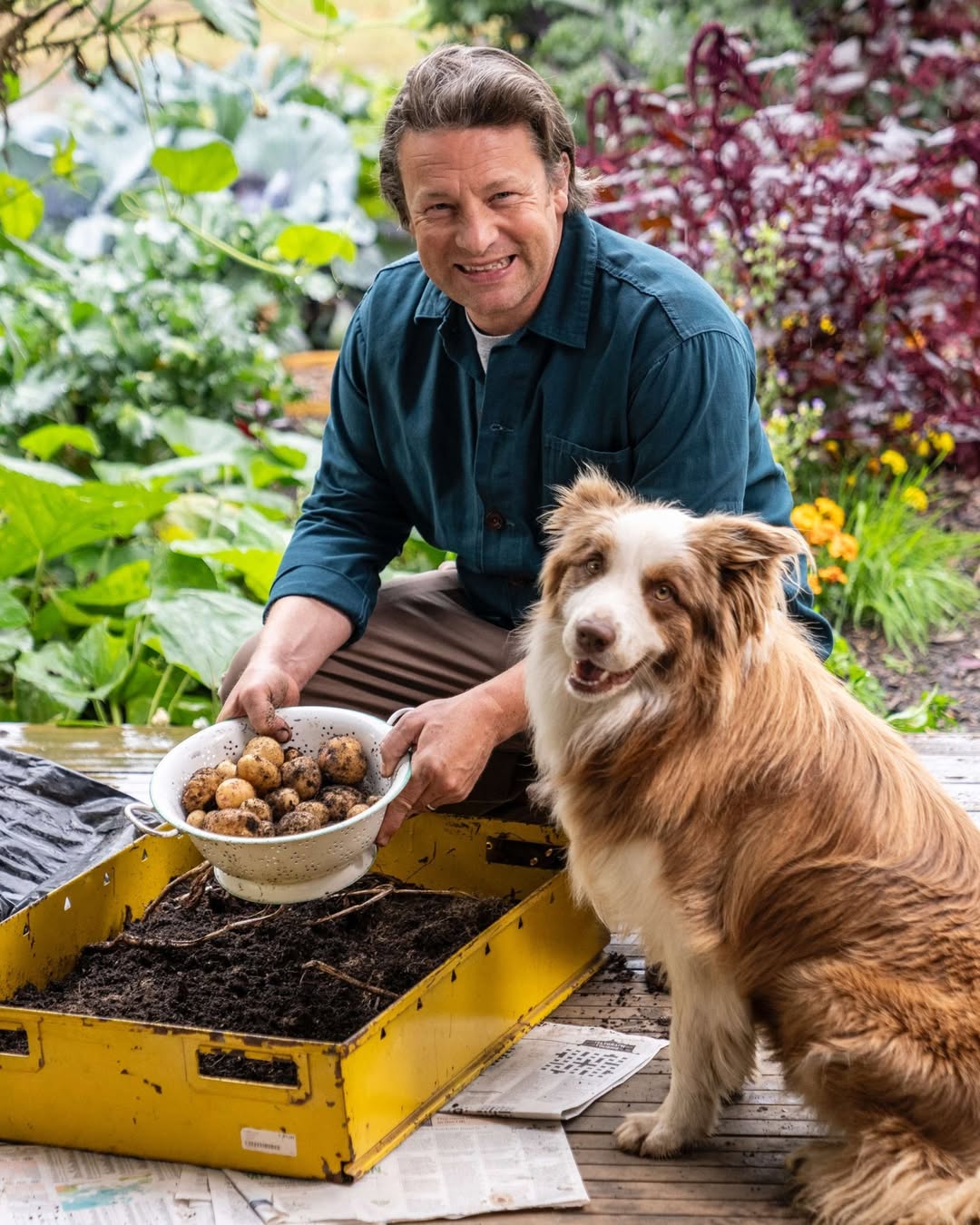 jamie oliver and dog