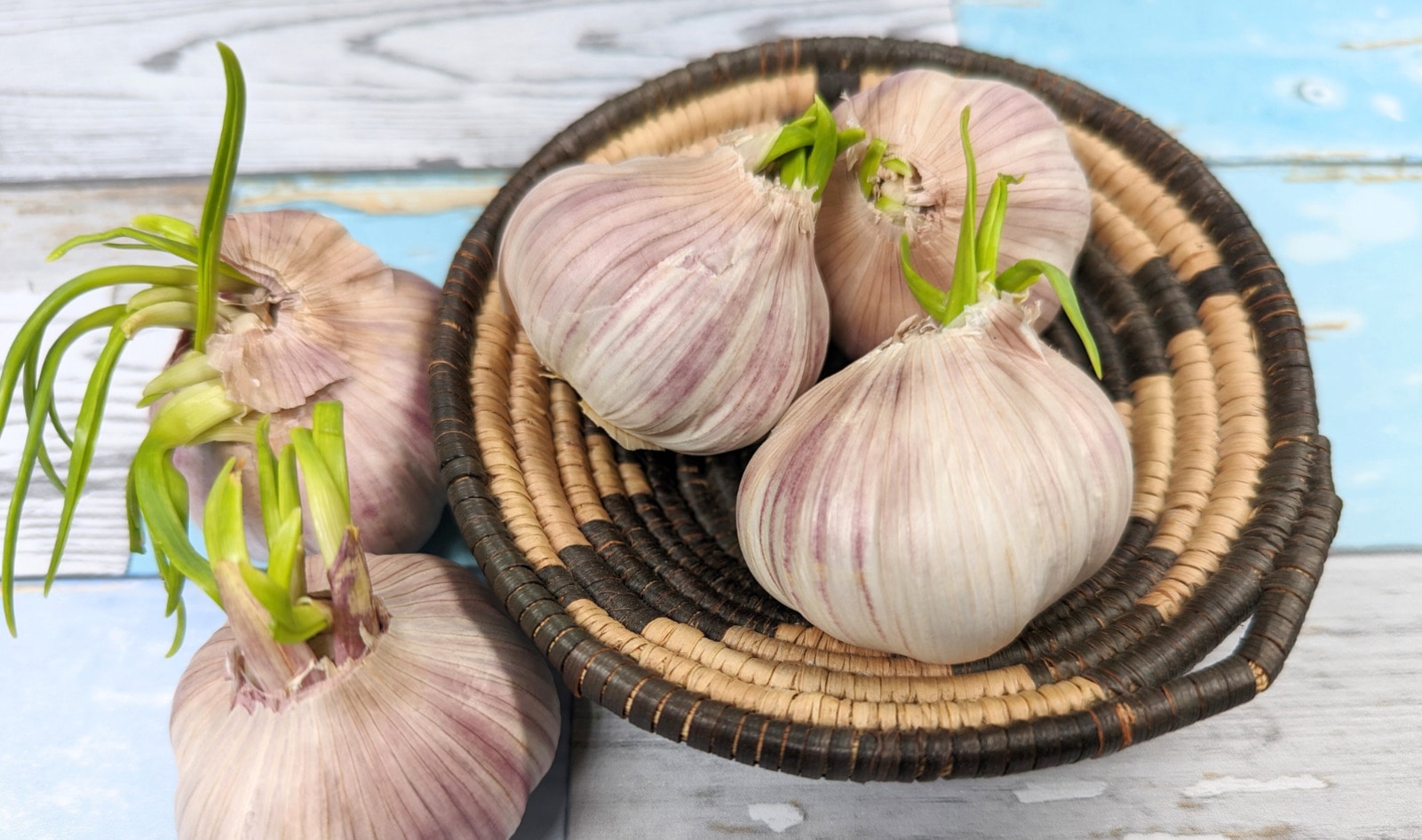 Is Sprouted Garlic Safe to Eat? And How Do You Prevent It from Sprouting in the First Place?